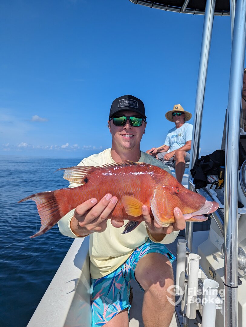 Bay Pines Report Photo 0