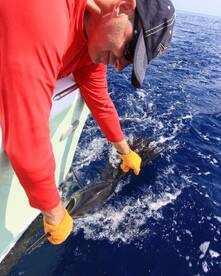 Quepos Report Photo 2