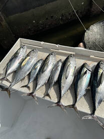 Great morning and after noon!