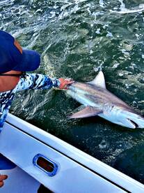 Savannah Report Photo 2