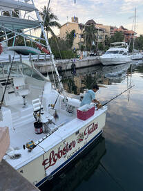 Puerto Aventuras Report Photo 1
