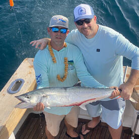 Live Bait for Kings!!