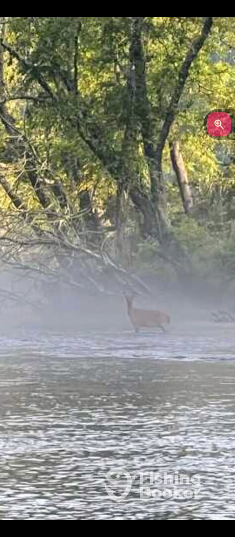 Morganton Report Photo 0