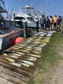Nags Head Report Photo 1