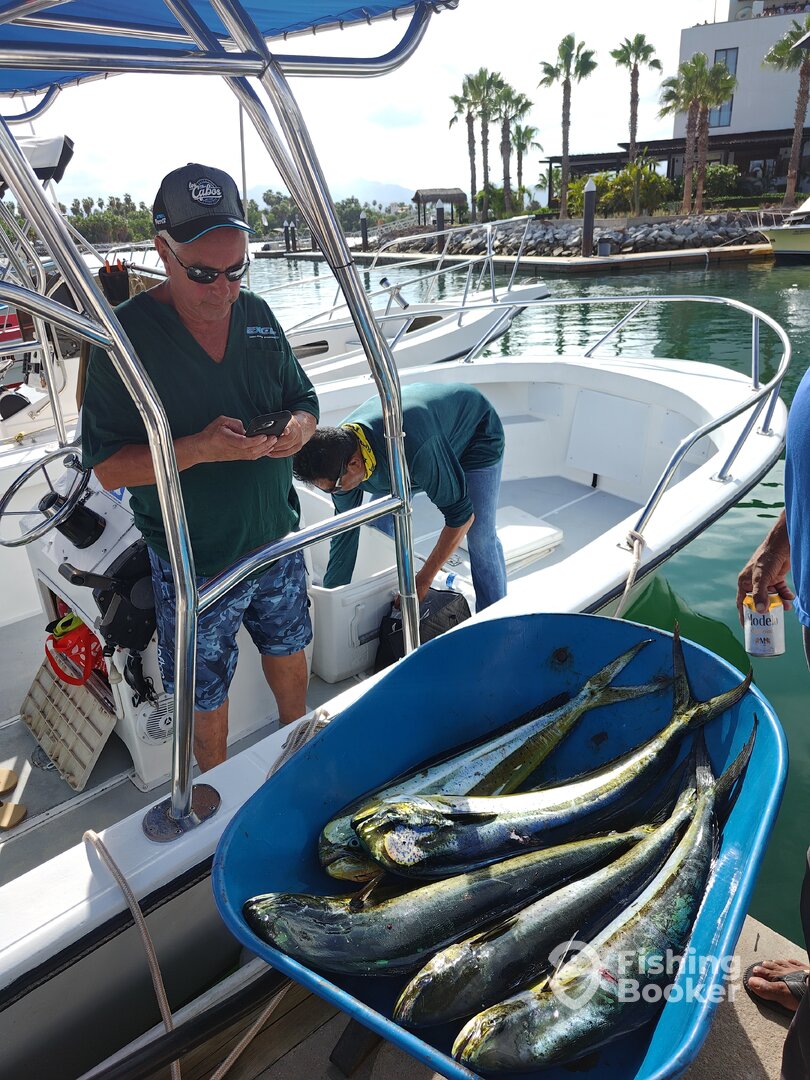 San Jose del Cabo Report Photo 0