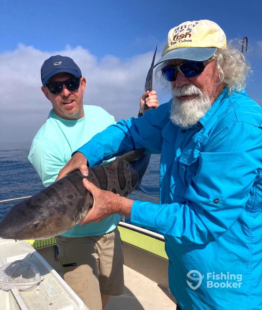 Oceanside Report Photo 0