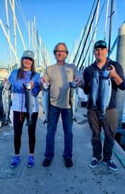 ? 2023 Seattle Summer Salmon Season ? 