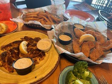 Bay Pines Report Photo 2