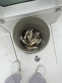 Chesapeake Beach Report Photo 2