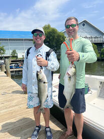 Chesapeake Beach Report Photo 1