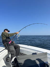 Chatham Report Photo 1