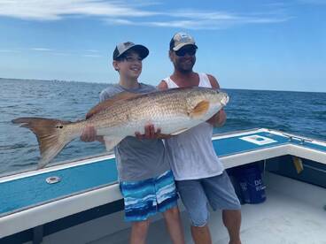 Red Drum