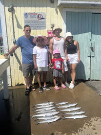Virginia Beach Report Photo 2