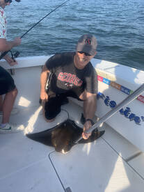 New York City Report Photo 2