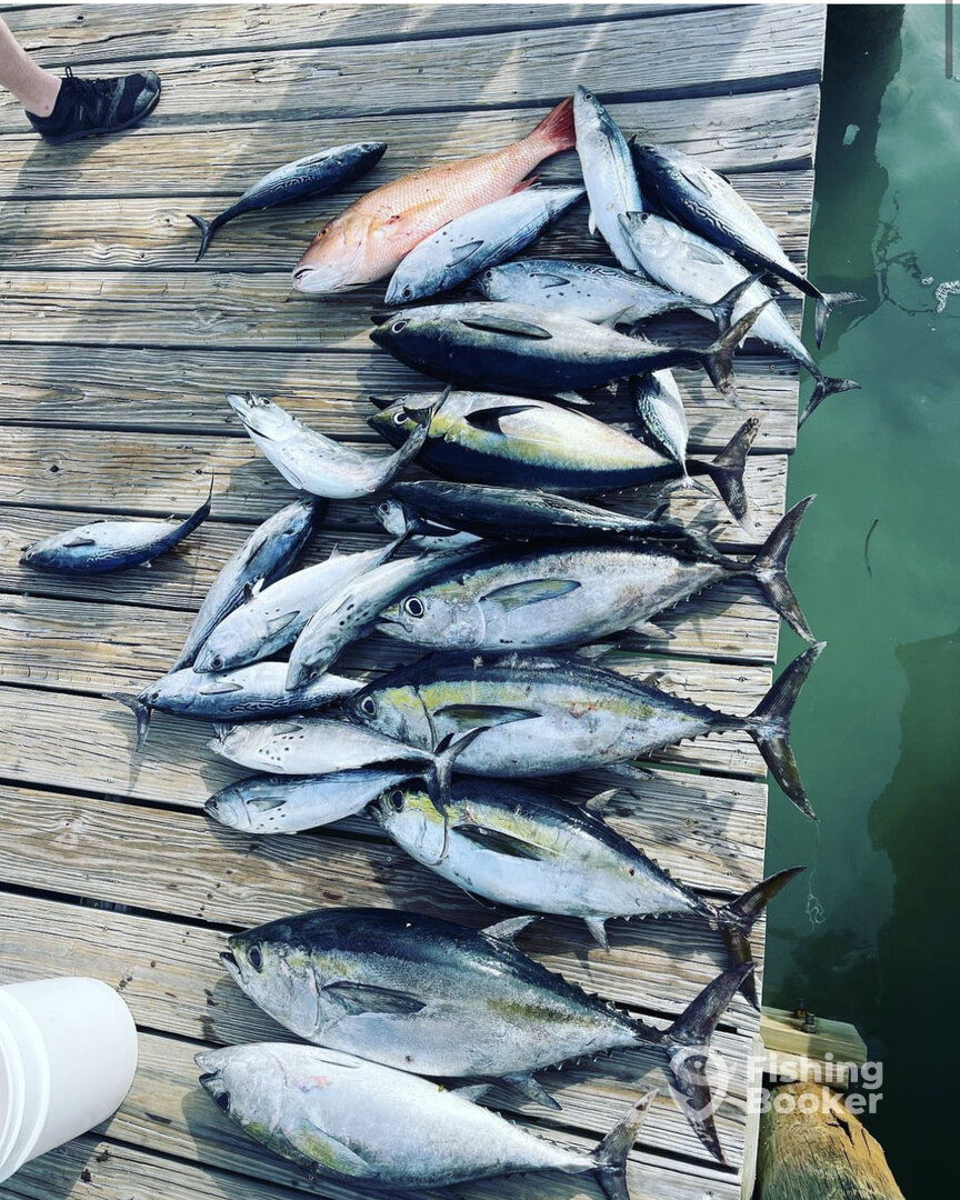 Fort Lauderdale Report Photo 0