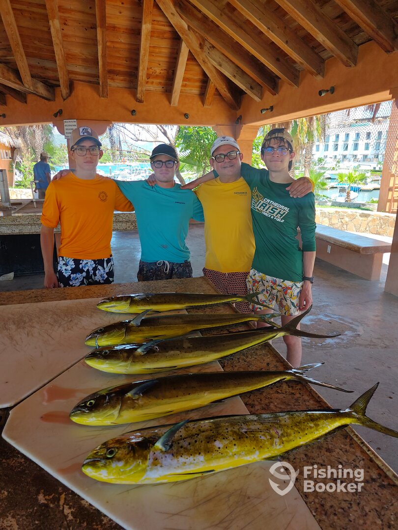 San Jose del Cabo Report Photo 0