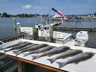 Another great day on the Bay!