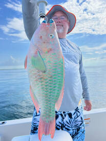 Islamorada Report Photo 1