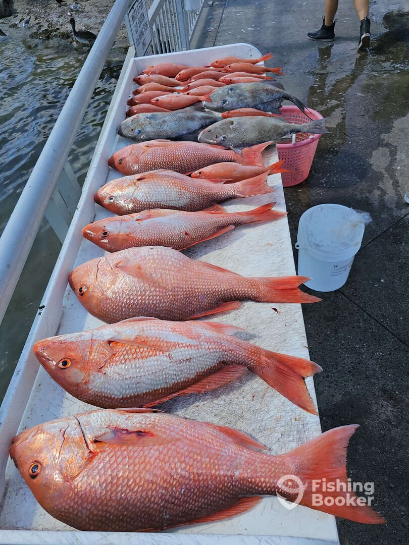 Clearwater Report Photo 0