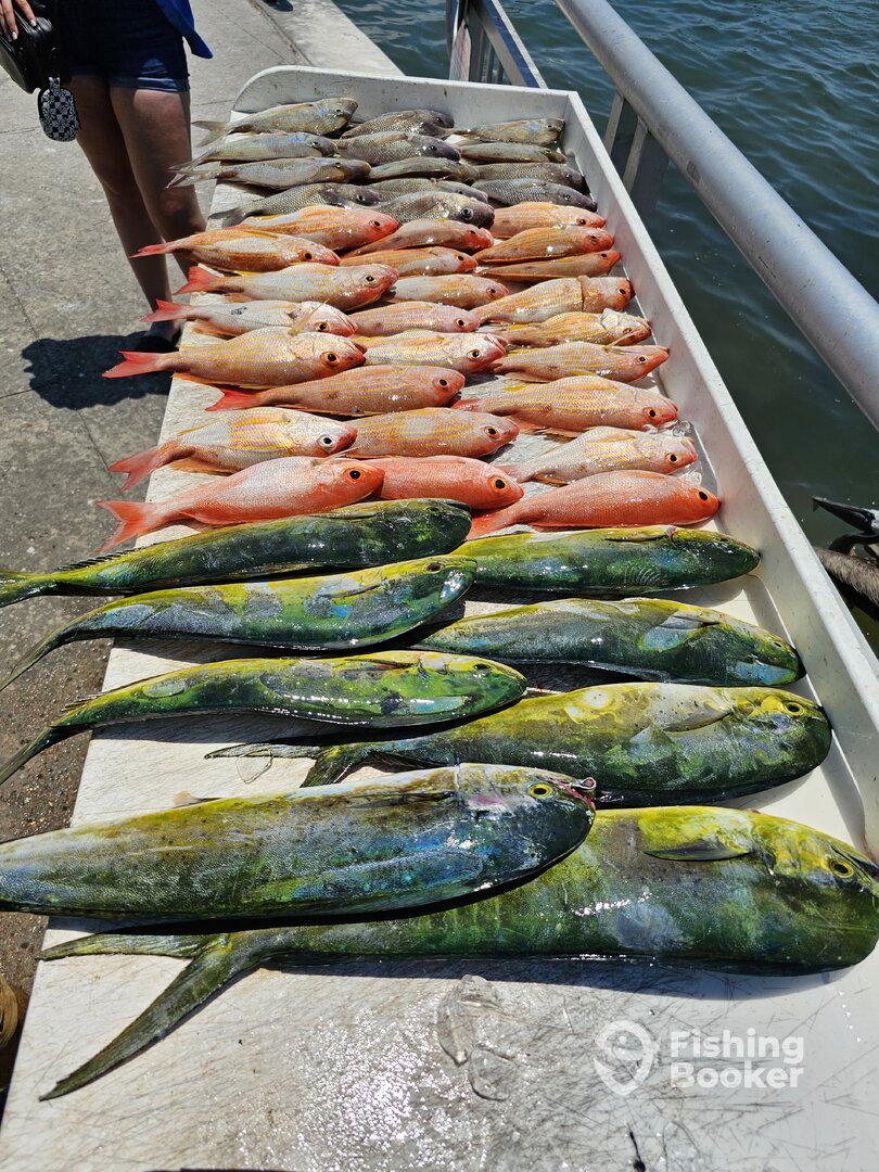 Clearwater Report Photo 0