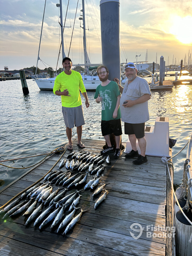 Norfolk Report Photo 0