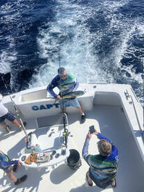 Nags Head Report Photo 2