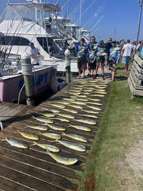 Nags Head Report Photo 1