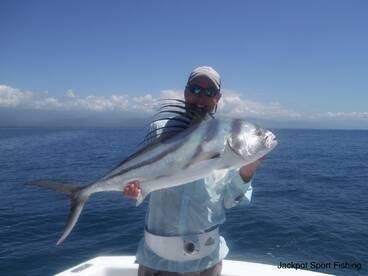 Quepos Report Photo 1