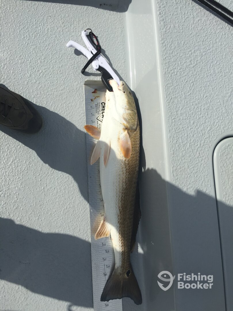 Rockport Report Photo 0