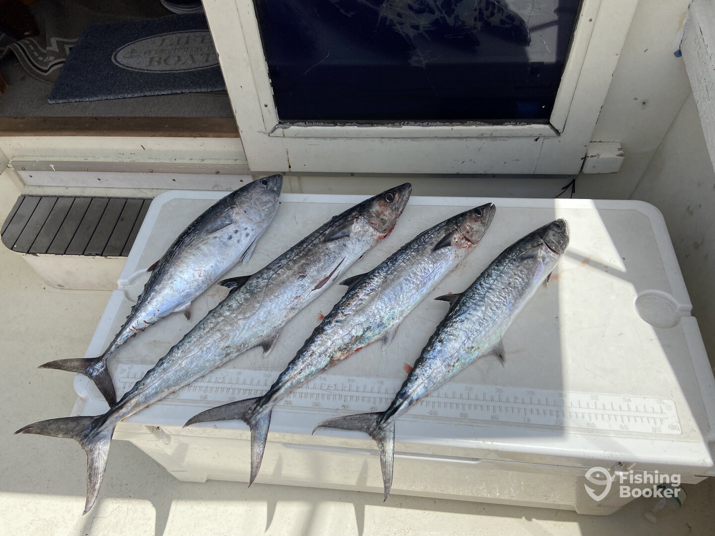 Pompano Beach Report Photo 0