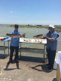 Mix Boxes of Reds and Trout. 
