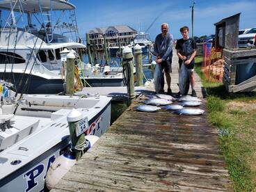 Nice size yellowfins!
