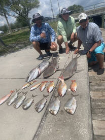 End of summer bite is still red hot ???