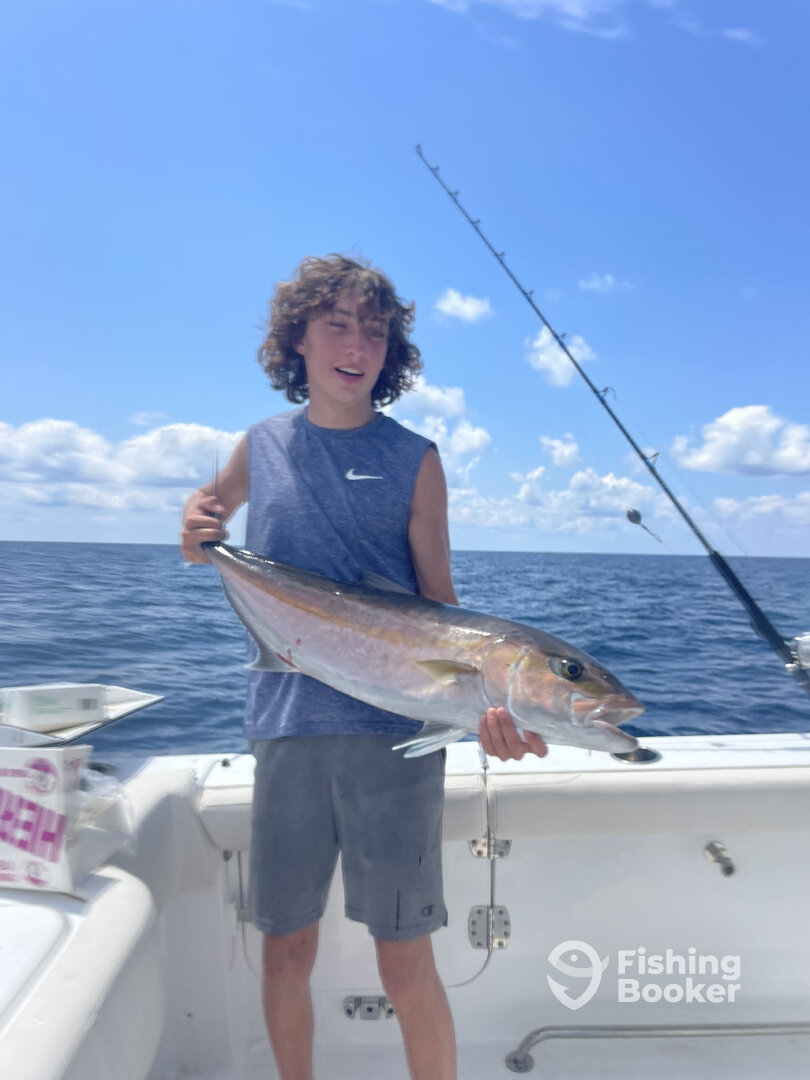 Gulfport Report Photo 0