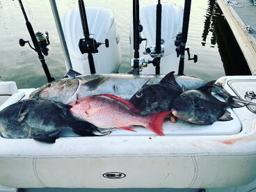 Gulfport Report Photo 2