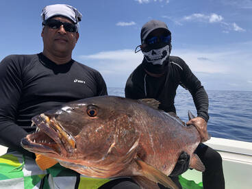 David Report Photo 2