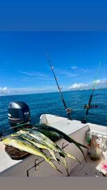 Puerto Morelos Report Photo 2