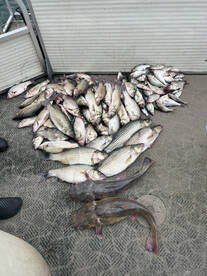 Sand Springs Report Photo 1