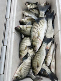 Sand Springs Report Photo 2