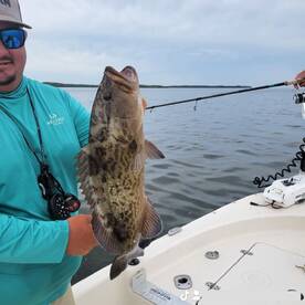 Grouper season starts September 1st