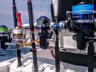 Bluefin tuna popping