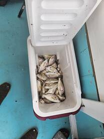 Chesapeake Beach Report Photo 2