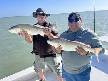 Redfish are schooling up 