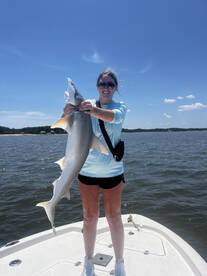 Hilton Head Island Report Photo 1