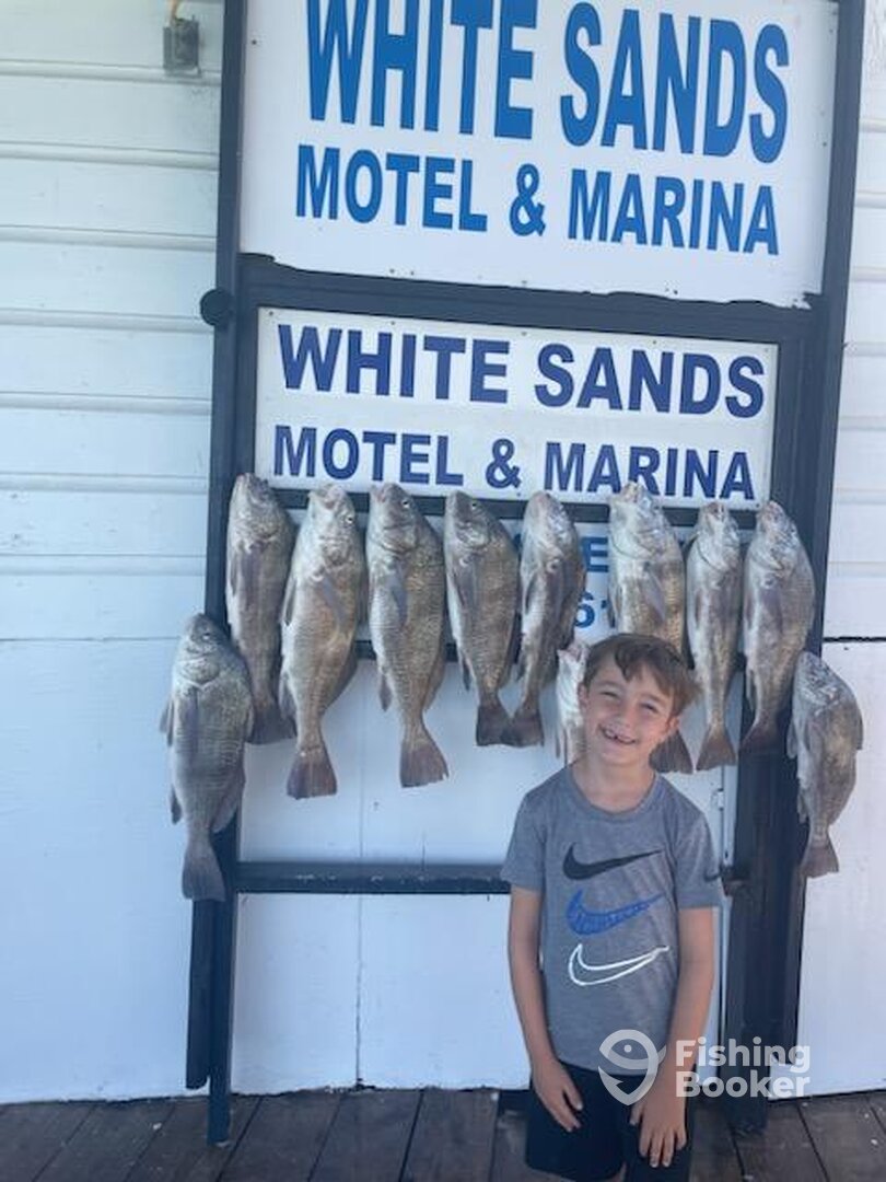 Port Isabel Report Photo 0