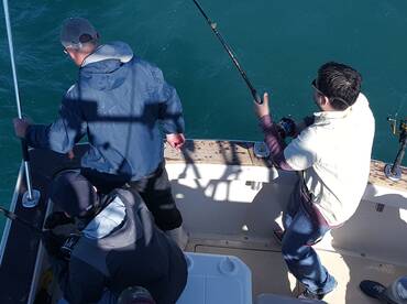 Freeport Report Photo 1