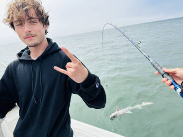 San Francisco Report Photo 1