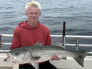 Montauk Report Photo 1