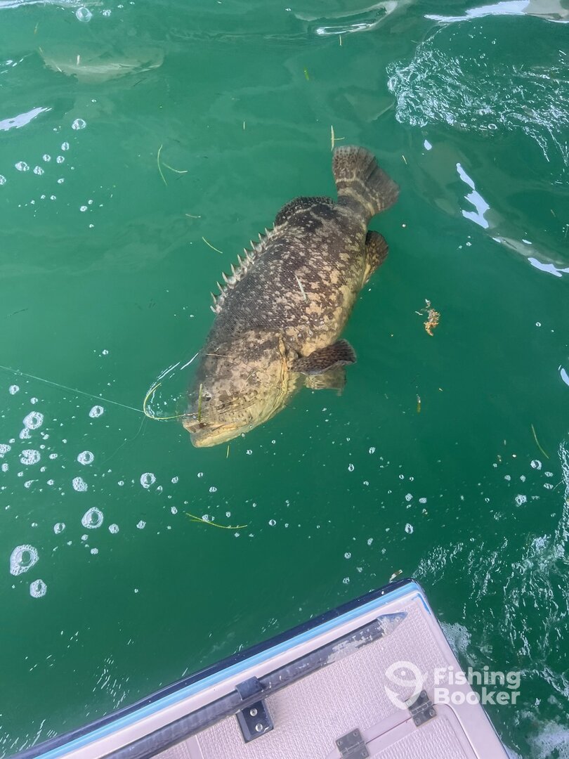 Islamorada Report Photo 0