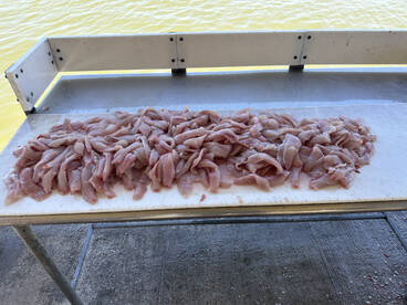 FISH FRY!!!!!!!